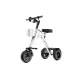FER-3A Lightweight Folding Electric Trike | 450W Motor