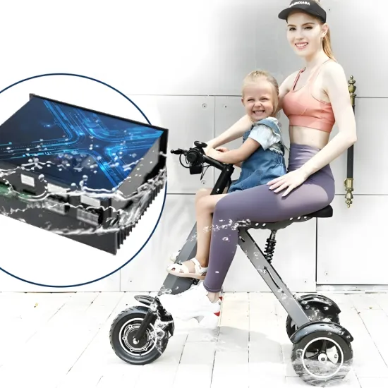 FER-3 36V Folding Three-Wheel Electric Vehicle | 350W 36V