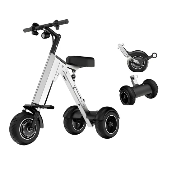  FER-2 Convertible Electric Vehicle | 450W Folding Design