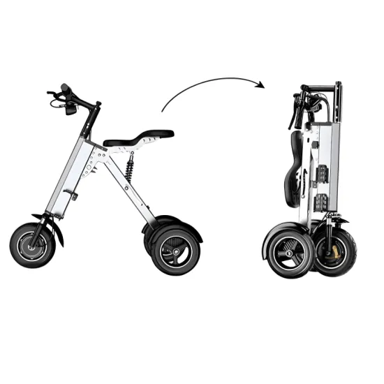 FER-3 36V Folding Three-Wheel Electric Vehicle | 350W 36V