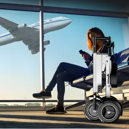  FER-2 Convertible Electric Vehicle | 450W Folding Design