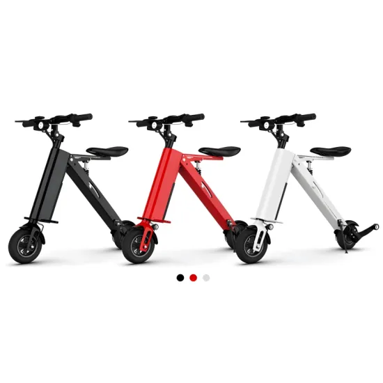 FER-6 300W Folding Electric Vehicle with Removable Battery