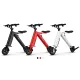 FER-6 300W Folding Electric Vehicle with Removable Battery