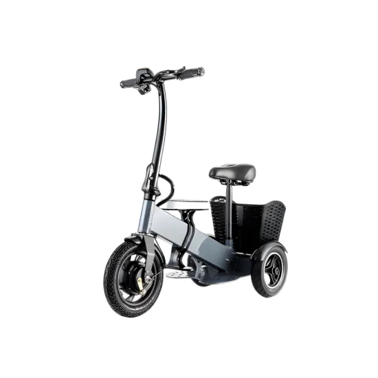 FER-4 Folding Electric Trike | Removable Battery