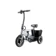 FER-4 Folding Electric Trike | Removable Battery
