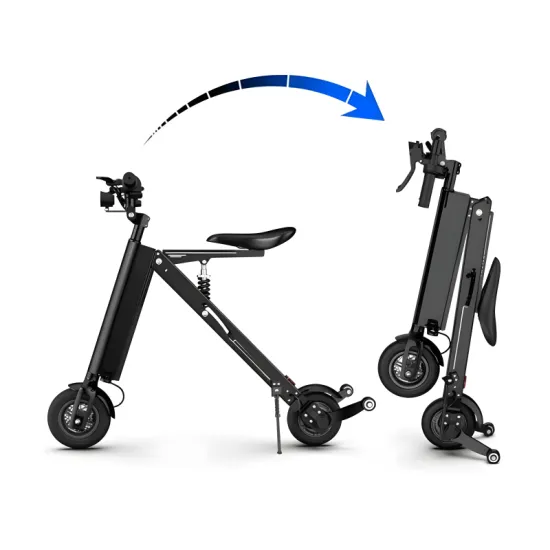 FER-6 300W Folding Electric Vehicle with Removable Battery