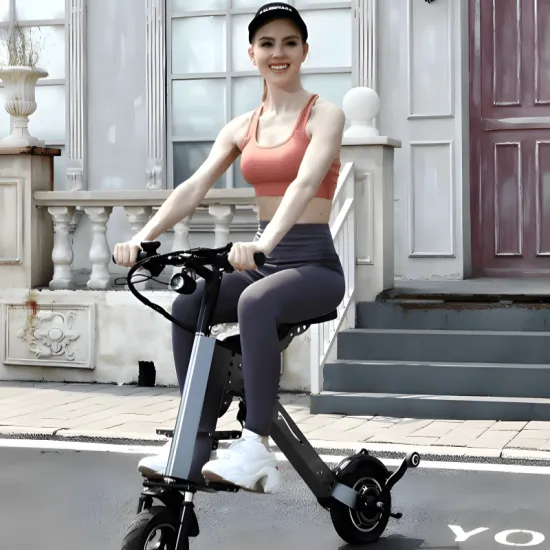 FER-5A 48V 500W Folding Electric Vehicle