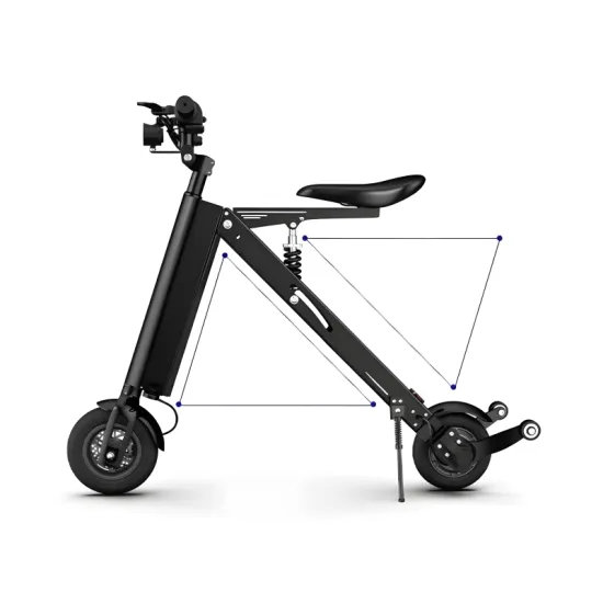 FER-6 300W Folding Electric Vehicle with Removable Battery