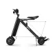 FER-6 300W Folding Electric Vehicle with Removable Battery