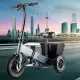 FER-4 Folding Electric Trike | Removable Battery