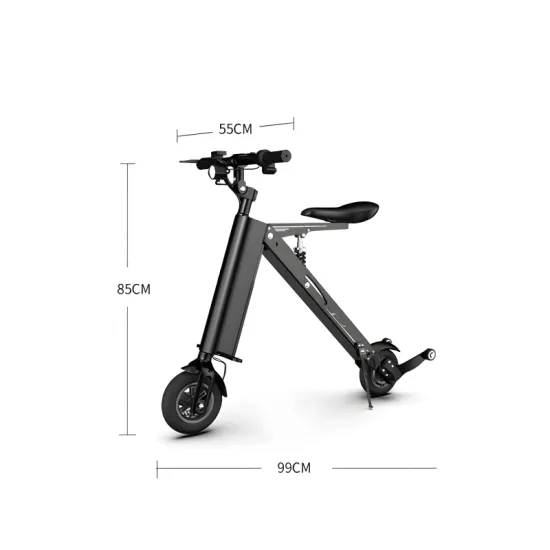 FER-6 300W Folding Electric Vehicle with Removable Battery