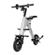 FER-5 10-Inch Folding Electric Trike | 350W Brushless Motor