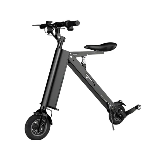 FER-6 300W Folding Electric Vehicle with Removable Battery