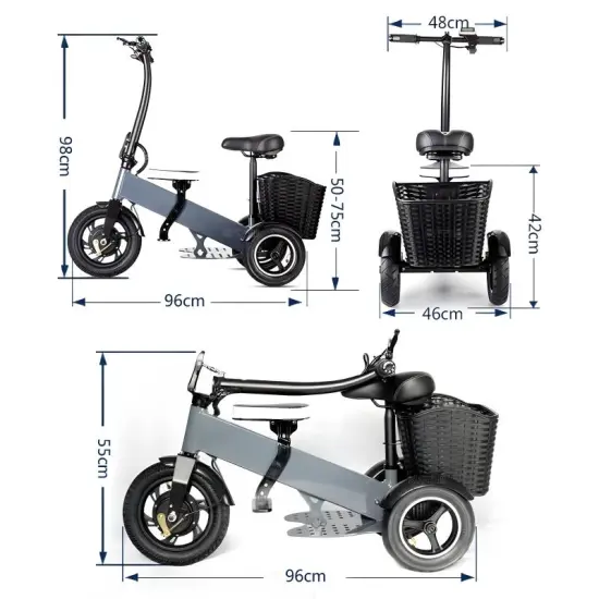 FER-4 Folding Electric Trike | Removable Battery