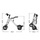 FER-5 10-Inch Folding Electric Trike | 350W Brushless Motor