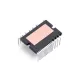 DPM30C60DG1